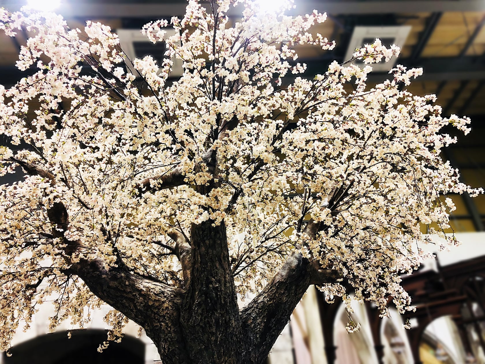 桜の造形物の使用素材説明(桜の木寄り画)