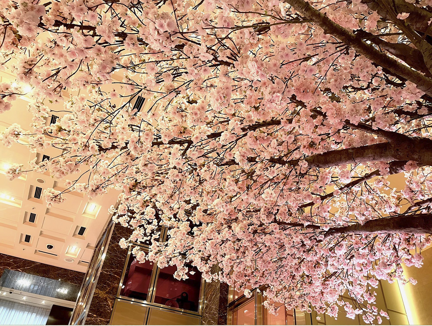 オーダーメイド型オリジナル桜ディスプレイ イメージ03