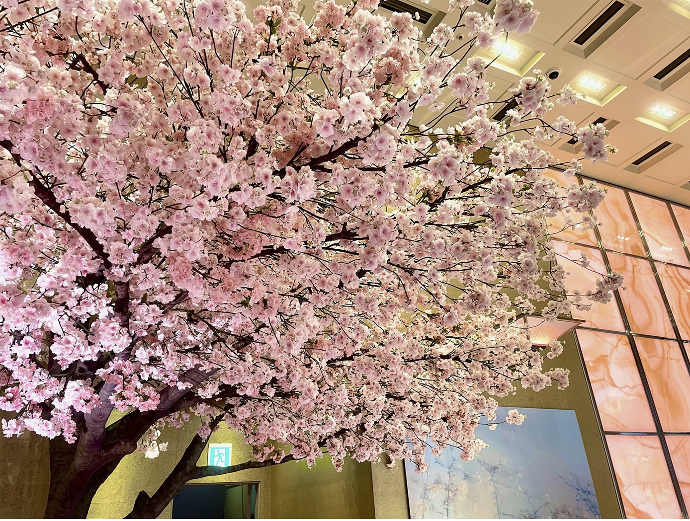 オーダーメイド型オリジナル桜ディスプレイ イメージ04