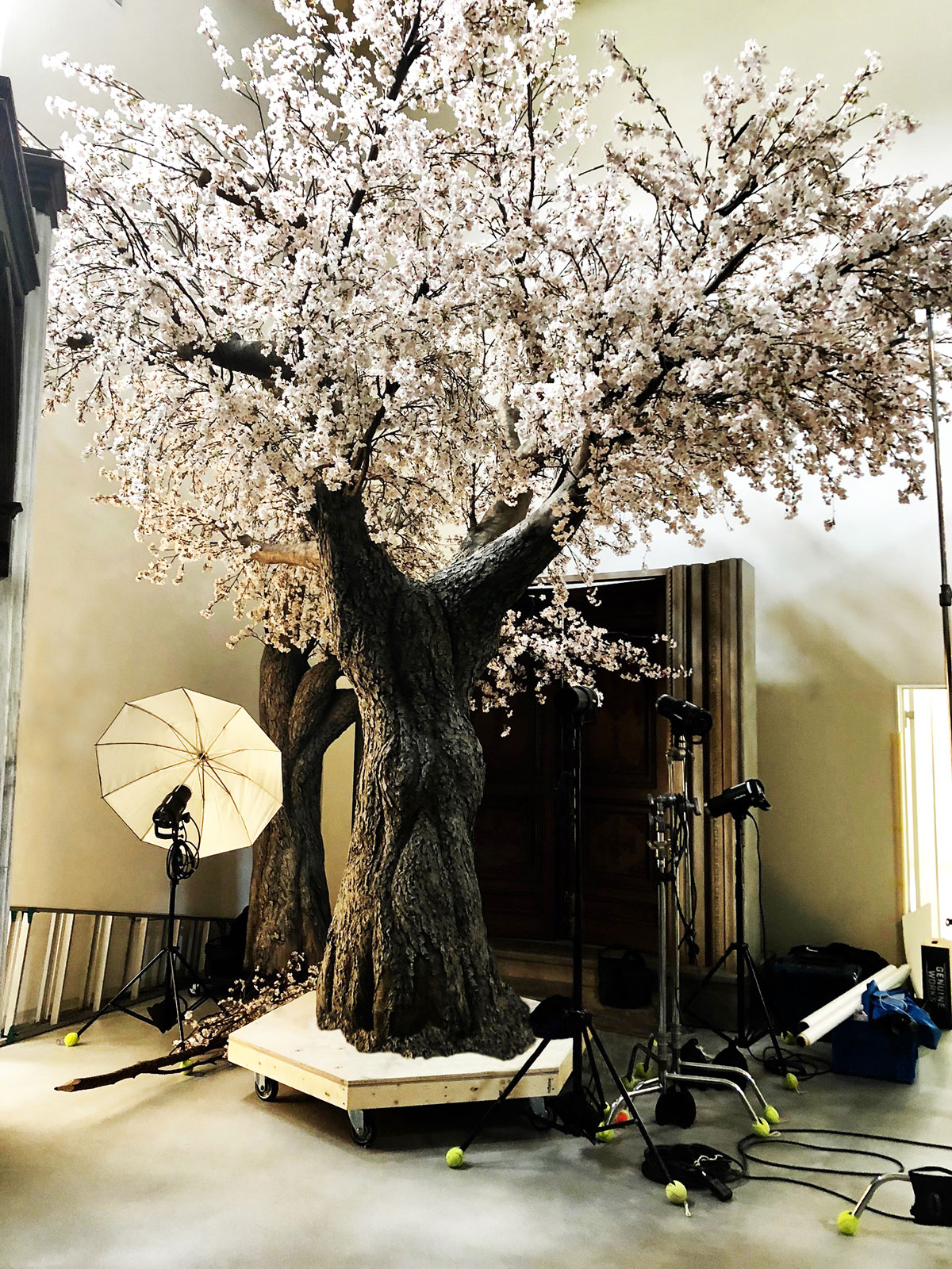 ハイクオリティな桜の木装飾ディスプレイ