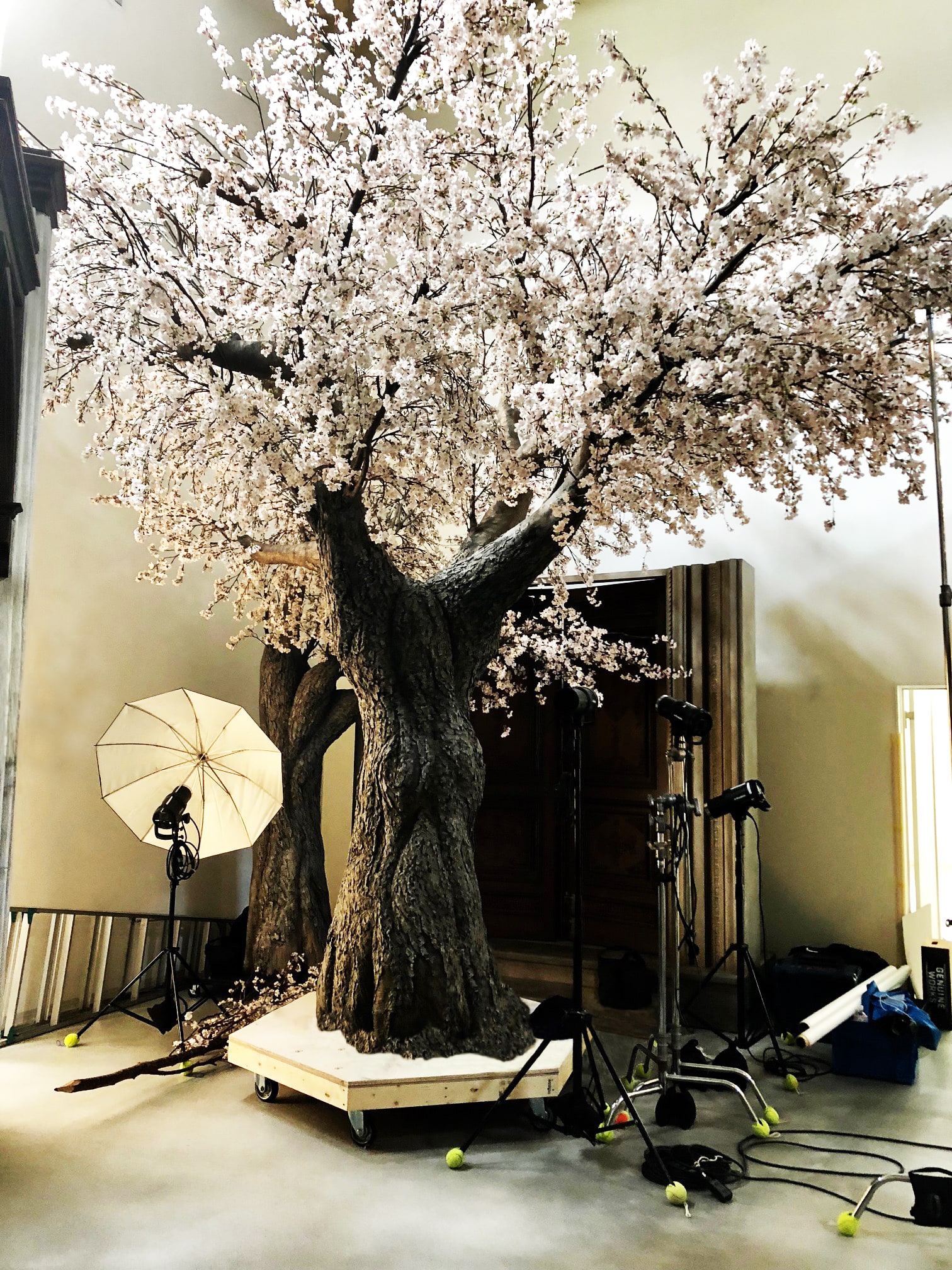 桜の木造形ディスプレイ 美術製作 美術施工プロデュースの 株 アルチザン 桜の木造形ディスプレイ 美術製作 美術施工プロデュースの 株 アルチザン