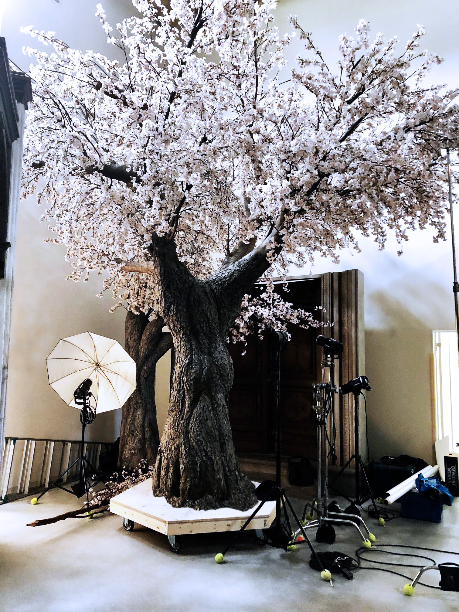 移動式の土台に乗っている大小サイズの桜の造形物全体